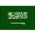 SAUDI ARABIA PRO LEAGUE league flag